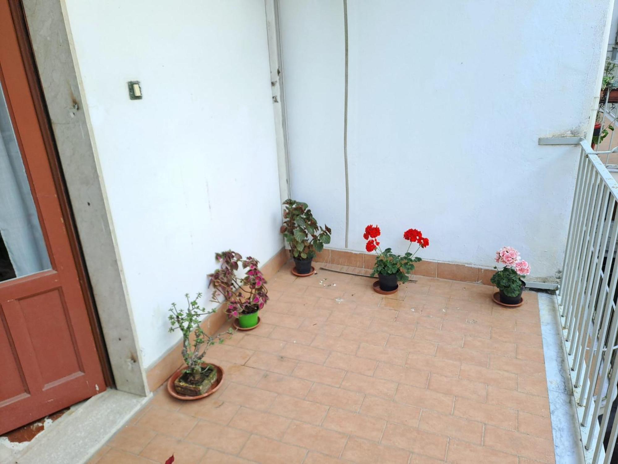 B&B Domus Pina คาตาเนีย ภายนอก รูปภาพ