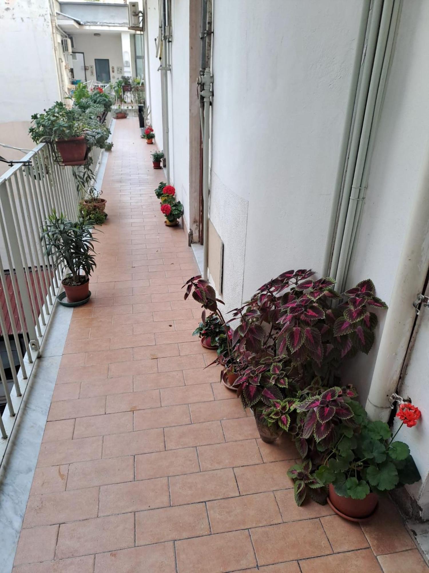 B&B Domus Pina คาตาเนีย ภายนอก รูปภาพ